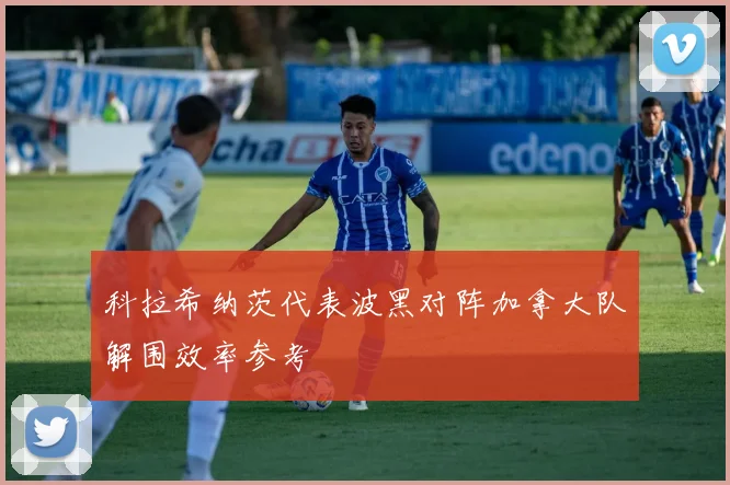 科拉希纳茨代表波黑对阵加拿大队解围效率参考
